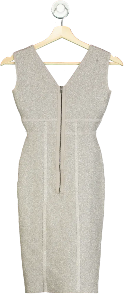 BCBG Max Azria Silver Metallic Sheath Dress XXS