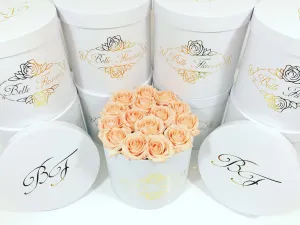 Classic Peach Roses - White Box