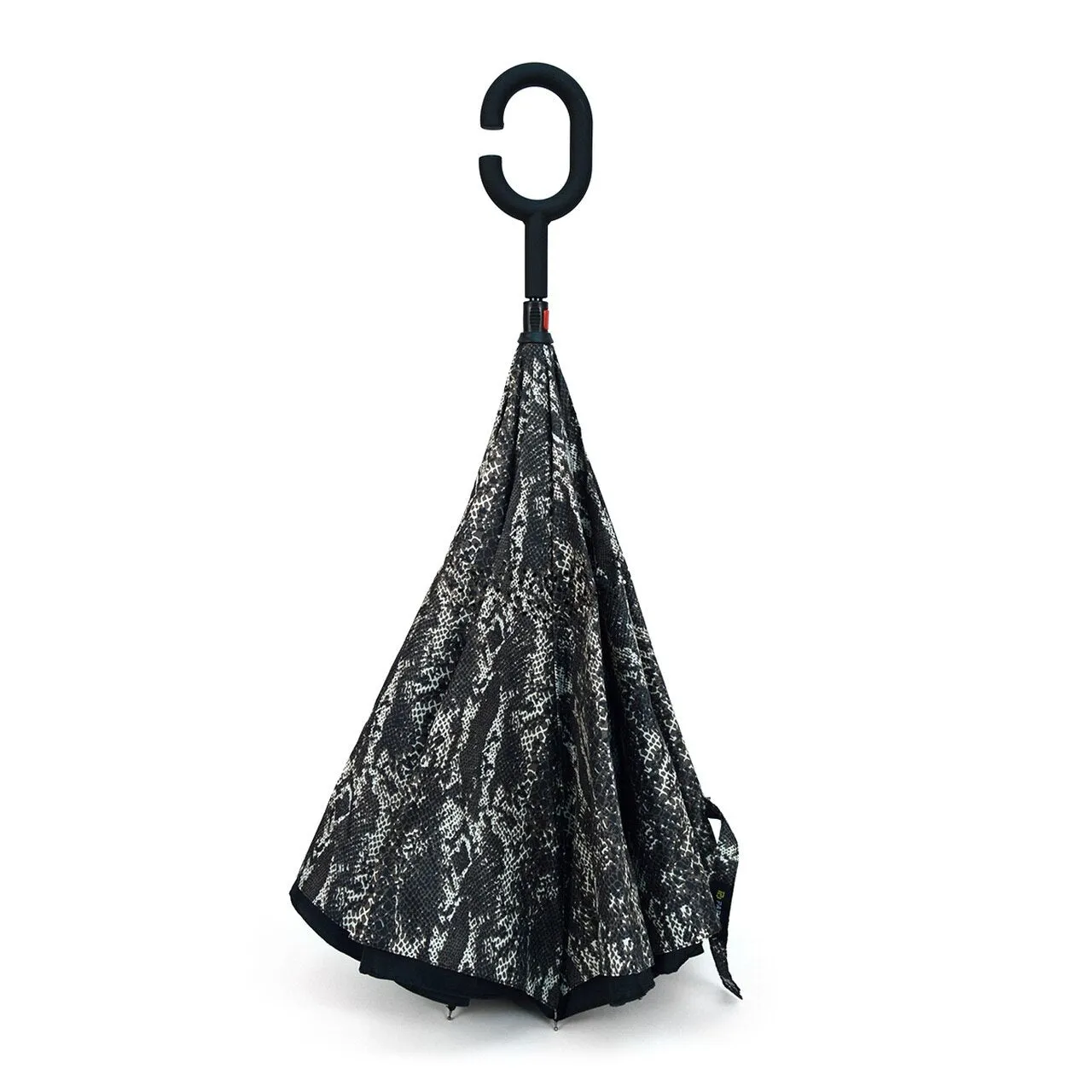 Fashionable Umbrellas