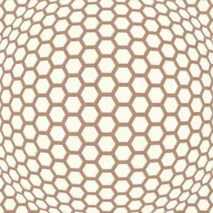 Graphics Honeycomb White Brown 255358 Wallpaper