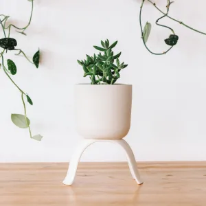High Rise, Classic Planters: Small (3.5")