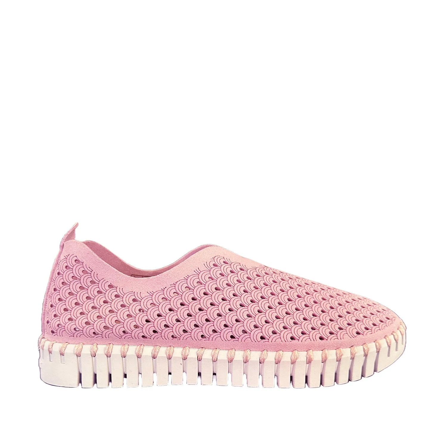 Ilse Jacobson Women's Tulip 139 in Bubble