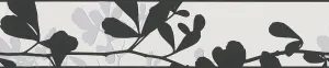 Leaves Trail Wavy Black White 947444 Wallpaper Border