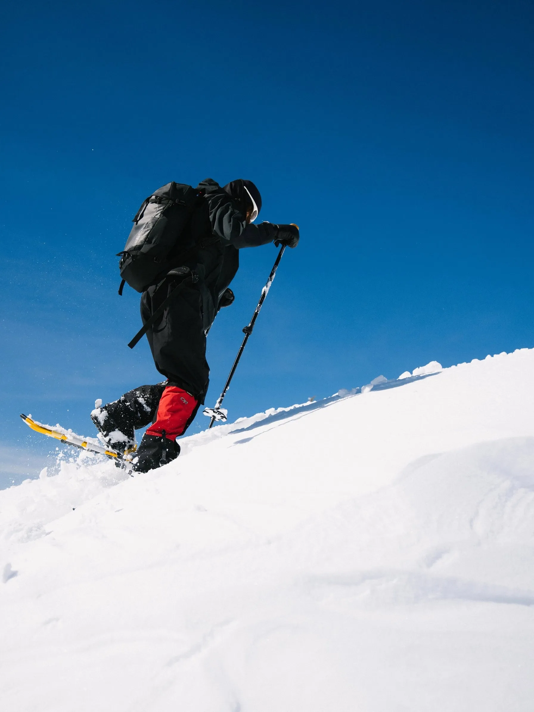 Montane Snowshoe (Women's)