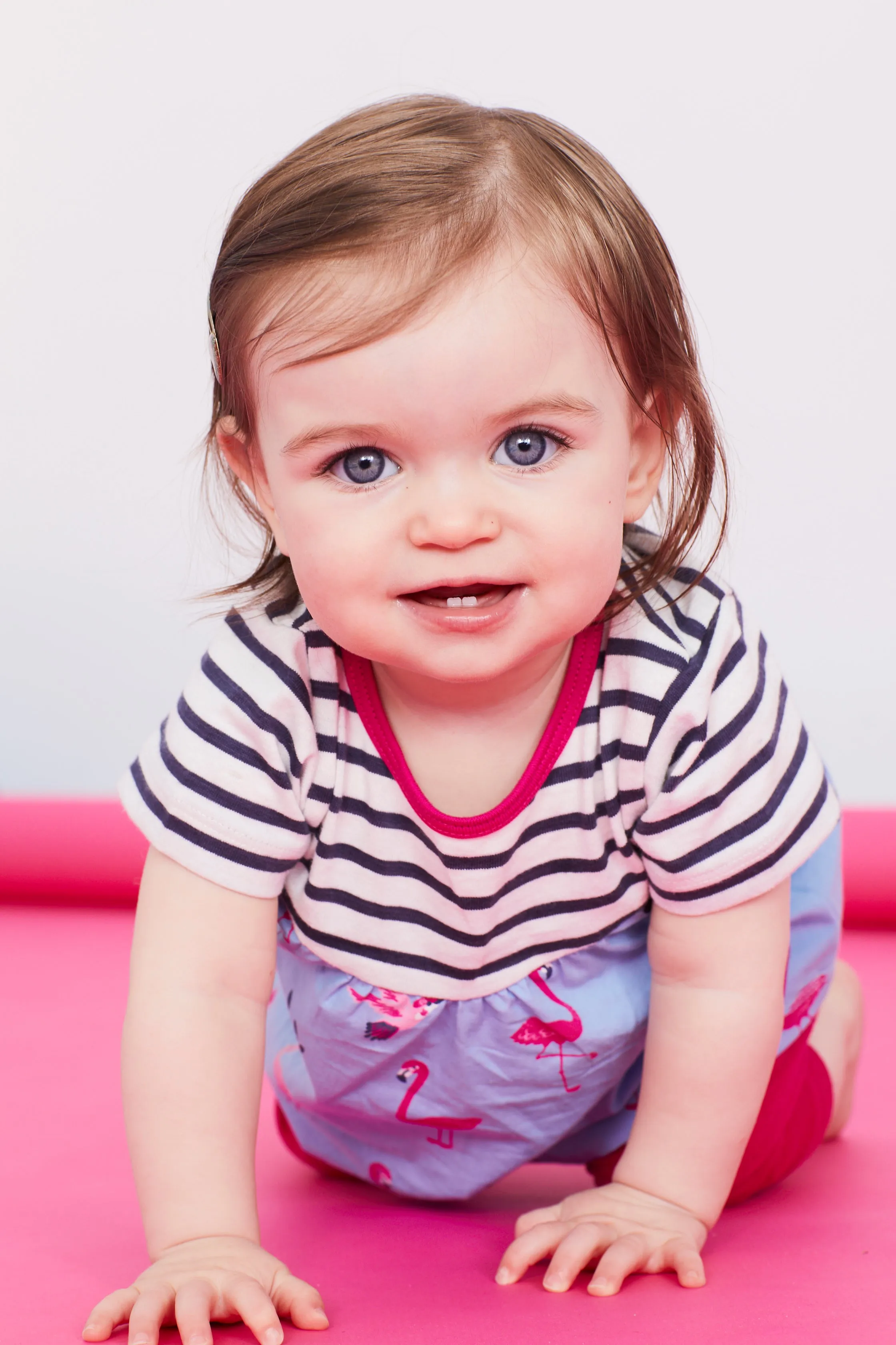 Multicoloured Flamingo Print Dress