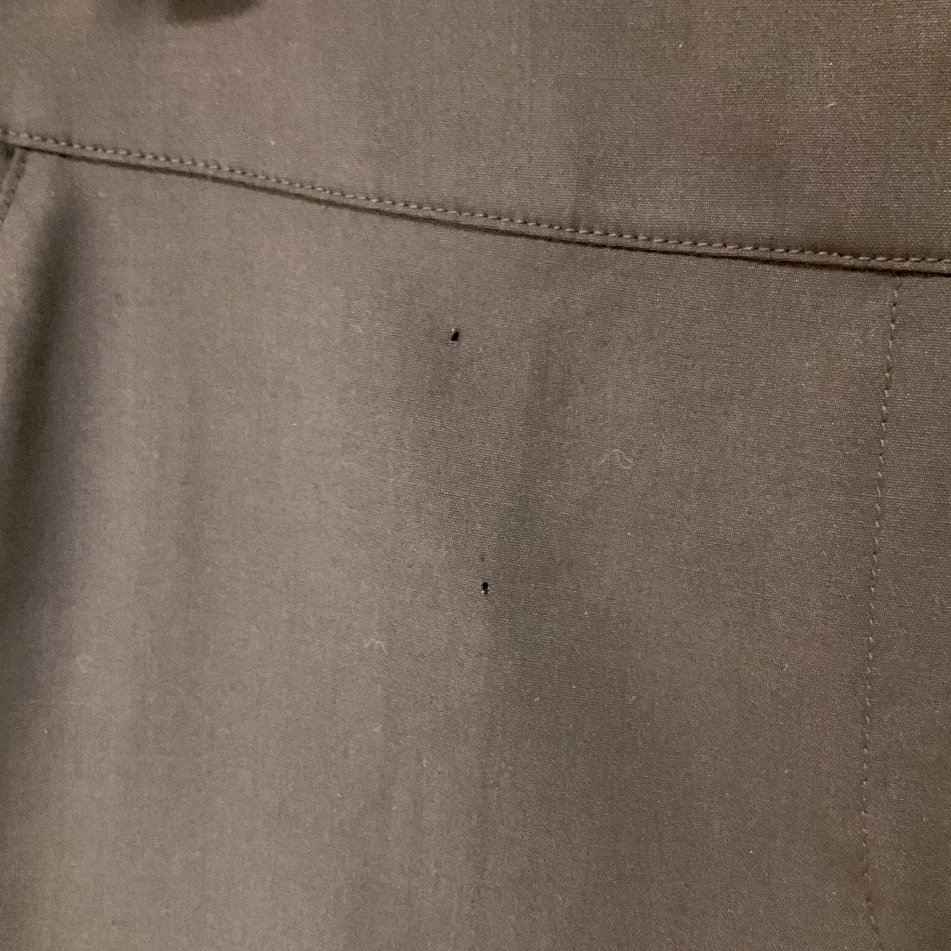 Pants Luxury Designer By St John Collection  Size: 4