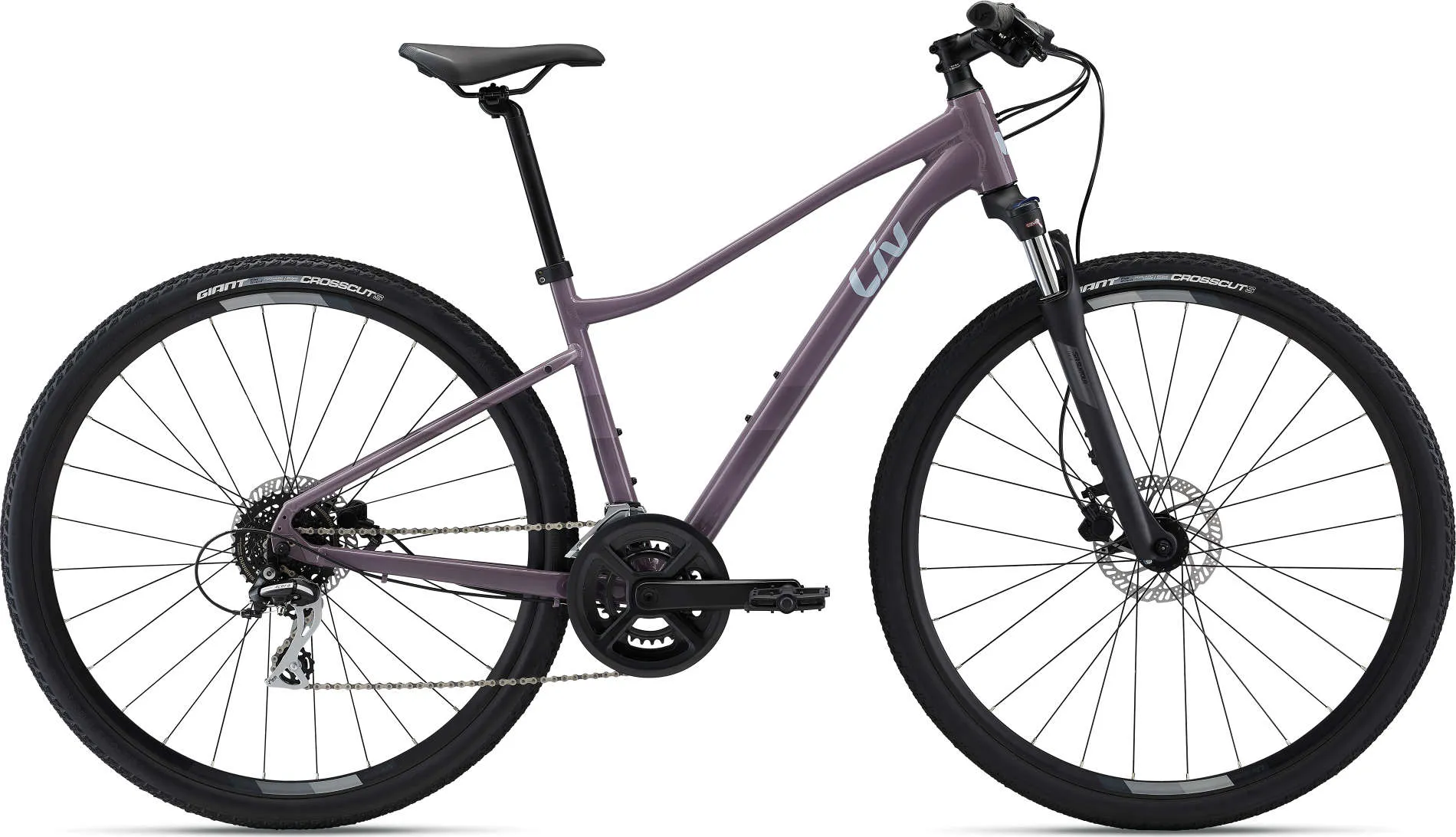Rove 3 Disc (Women's)