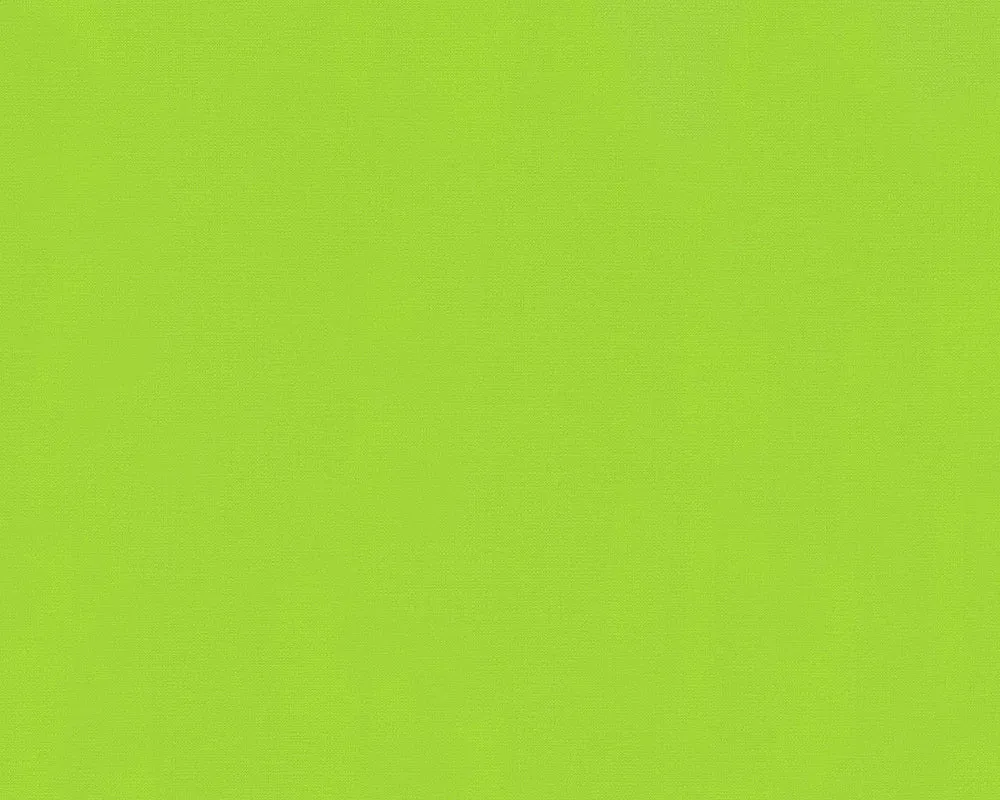 Textured Plain Green 805614 Wallpaper