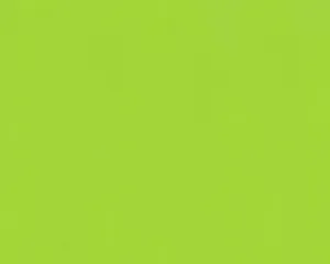 Textured Plain Green 805614 Wallpaper