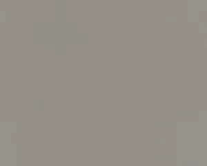 Textured Plain Grey 698995 Wallpaper