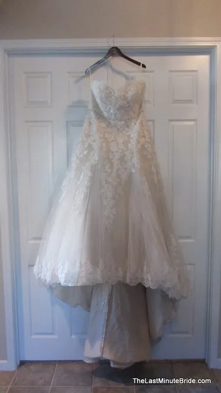 Venus Exclusive 8651